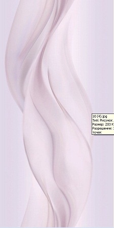 Панель ПВХ STARLINE 1005 0,25х2,7х8мм (10)
